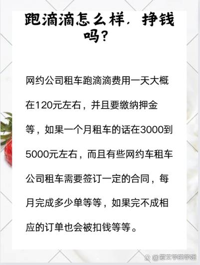 滴滴租车怎么收费游戏截图