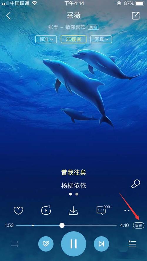 酷狗音乐可以调倍速吗图标
