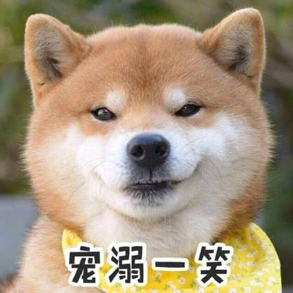 一脸宠溺表情包图标