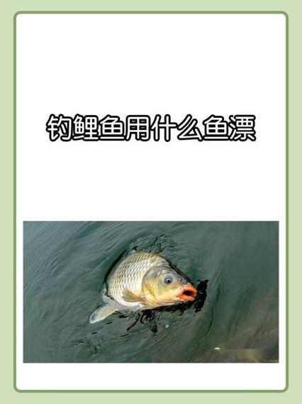 什么鱼漂最好排名第一缩略图