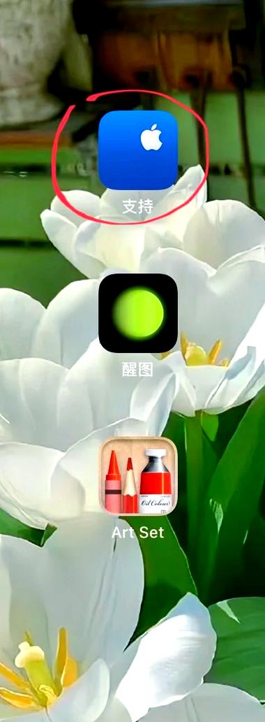 ipad如何查电池健康程度图标