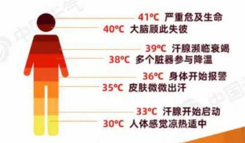 人体能承受最低温度是多少度游戏截图