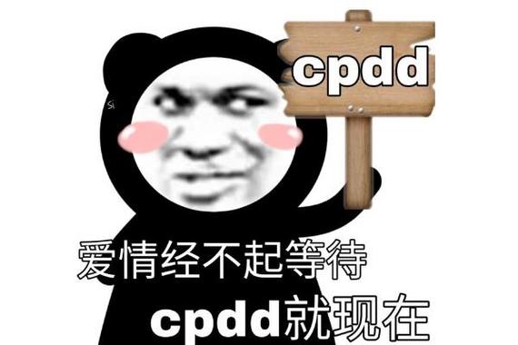 女生说cpdd是什么意思啊缩略图