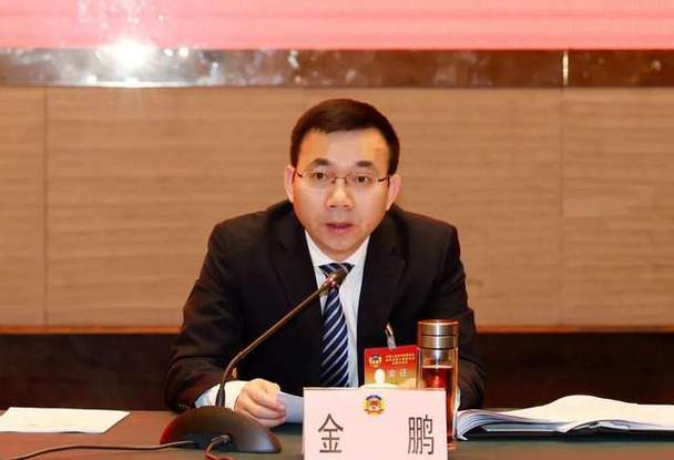 唱歌县长金鹏个人简历介绍缩略图