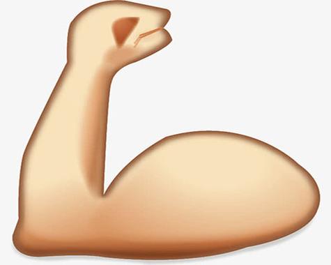muscle图标