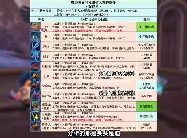 时光服猎人1到80级升级攻略游戏截图