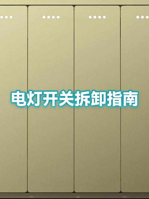 家用电灯开关怎么拆卸游戏截图