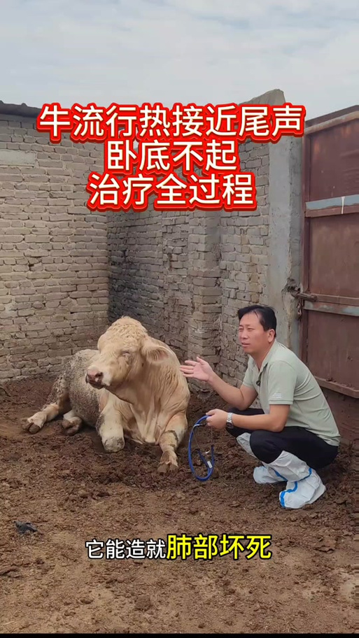 牛流行热病的症状及治疗方法图标