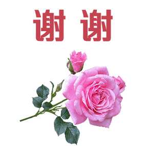 谢谢动态表情包100个缩略图
