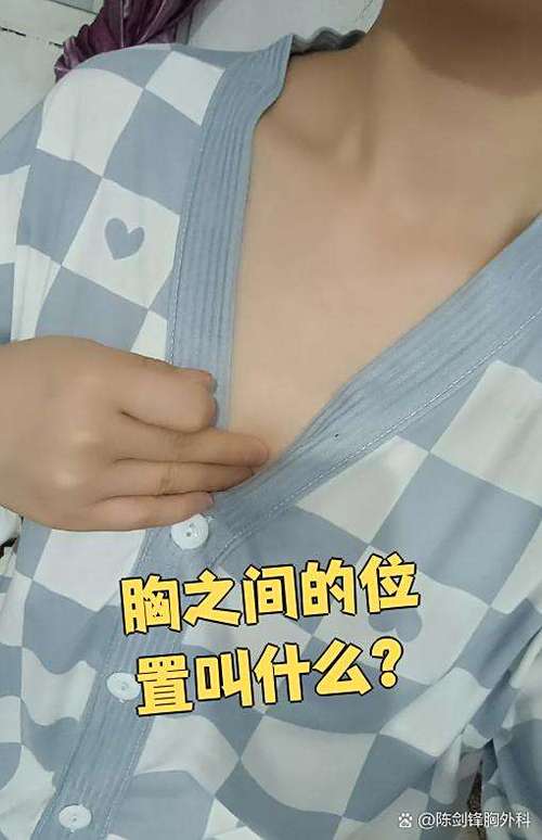 胸口中间位置图片图标