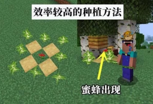 我的世界蜜蜂可以繁殖吗缩略图