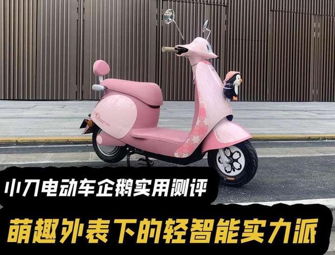 轻的电动车好开还是重的好开图标