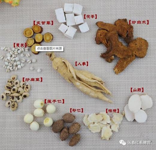薏苡竹叶散组成缩略图