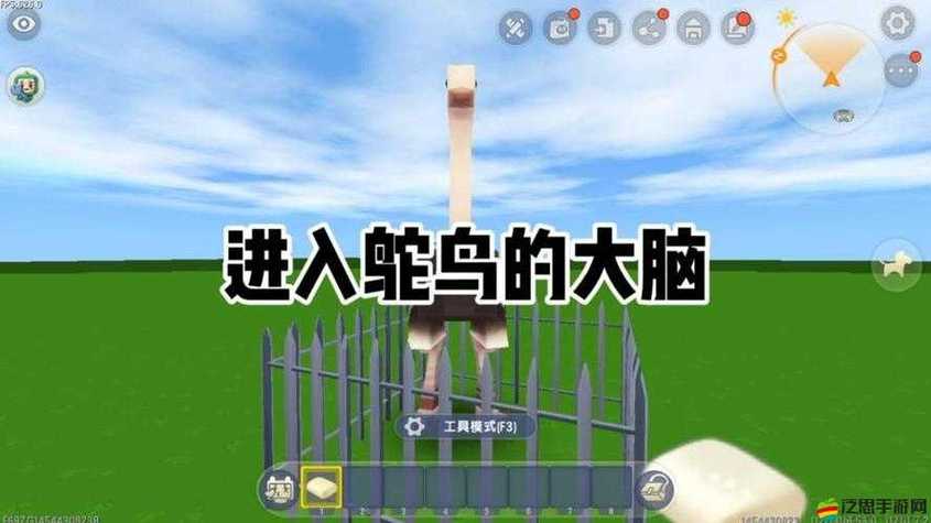 迷你世界的鸵鸟喜欢吃什么缩略图