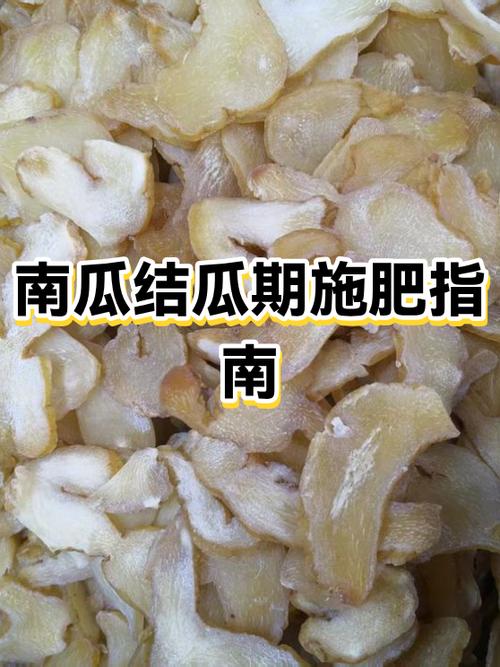 南瓜只长藤不结瓜是什么原因图标