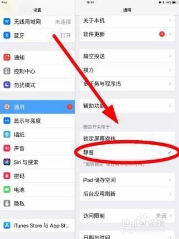 ipad11平板怎么静音游戏截图