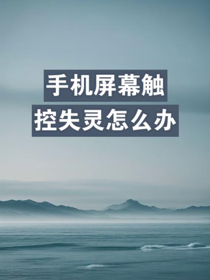 换个屏幕触摸不灵敏了怎么办缩略图