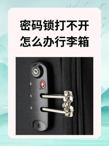 拉杆箱密码对的打不开怎么办图标