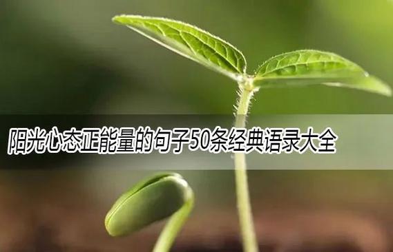 阳光心态最经典十句话缩略图
