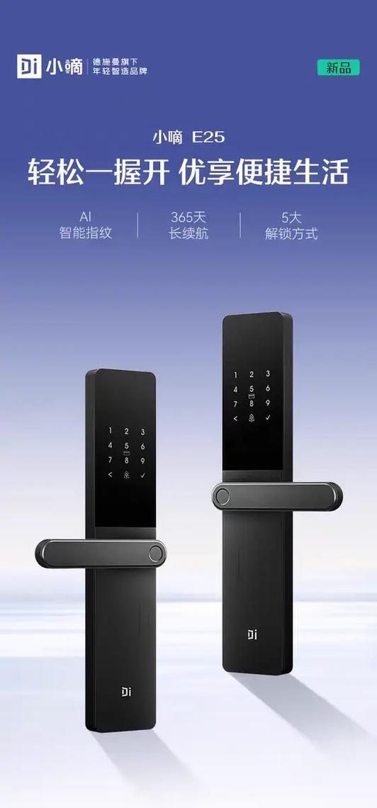 德施曼智能锁蓝牙app官方下载安装手机版图标