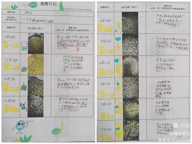 仲慧小朋友的观察记录