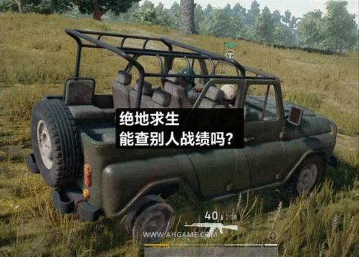 吃鸡战绩隐藏能不能查出来缩略图