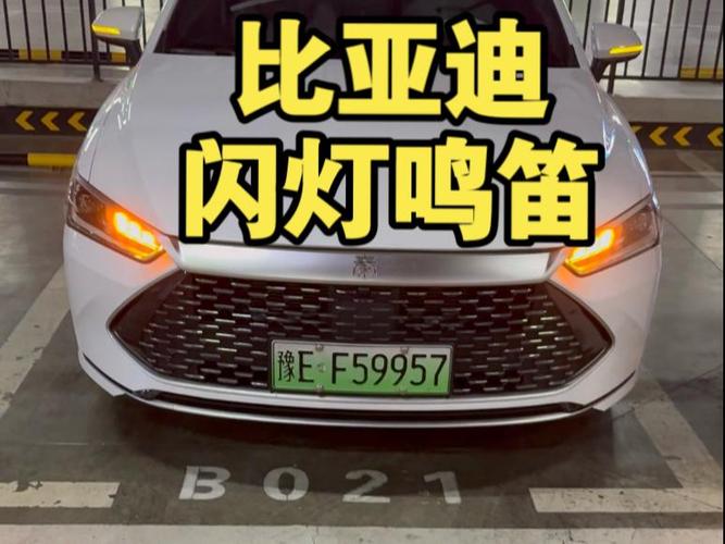比亚迪闪灯鸣笛是什么功能图标