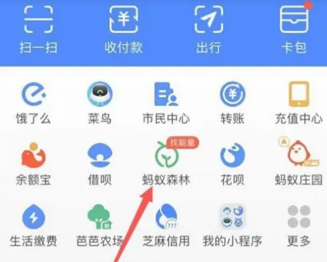 如何删除蚂蚁森林里面的好友