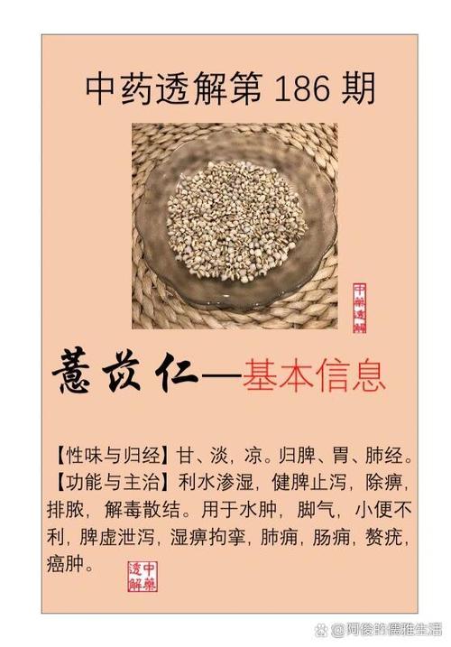 薏苡竹叶散的功效和作用游戏截图