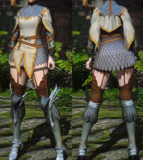 上古卷轴5女武神铠甲mod图标