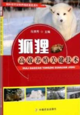 中国可以养狐狸吗缩略图