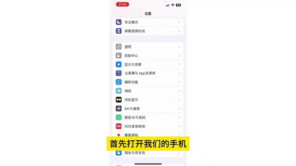 苹果safari历史记录突然不见了游戏截图