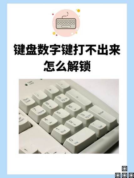 键盘上面的数字键打不出来怎么办缩略图