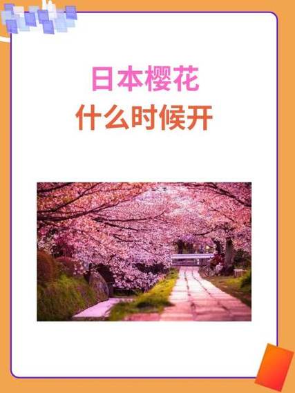 日本樱花什么时候开放缩略图