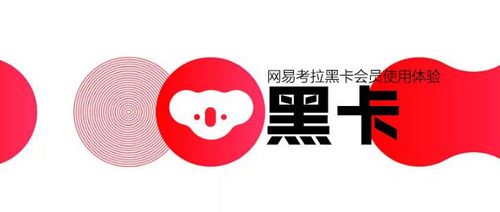 网易考拉黑卡代下单怎么赚钱游戏截图