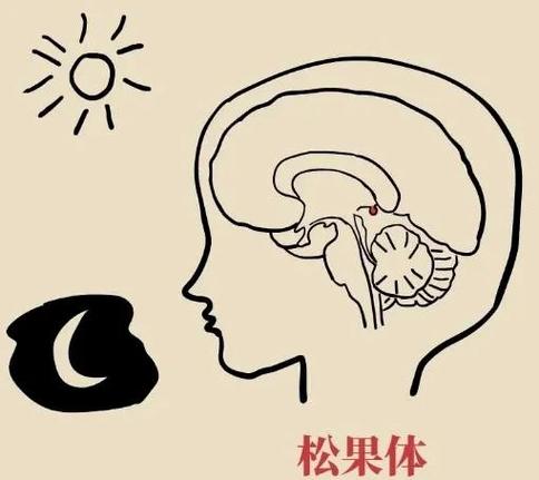 防止电脑进入睡眠的方法截图