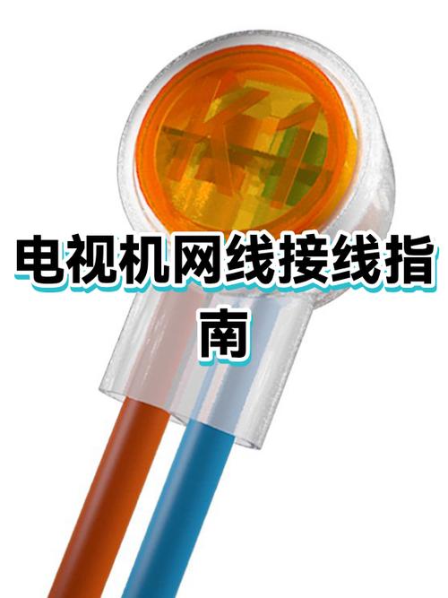 网线代替电视线接法游戏截图