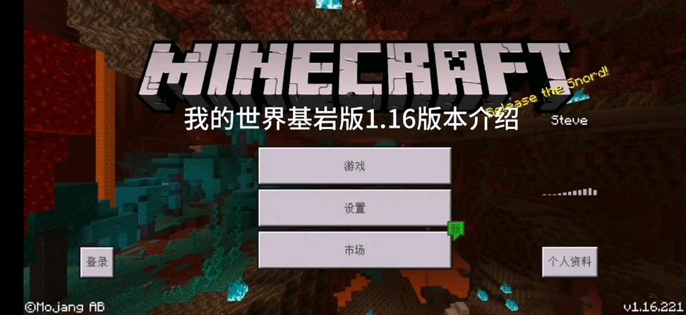 我的世界基岩国际版1.16版本下载图标
