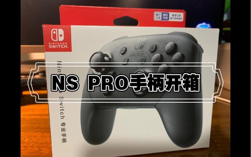 ns国行手柄日版能用吗图标