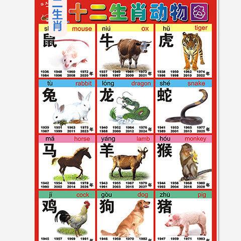十二生肖里面的动物是真实存在的吗缩略图