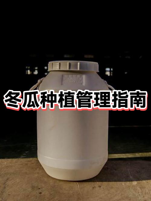 冬瓜种植方法和管理技术缩略图