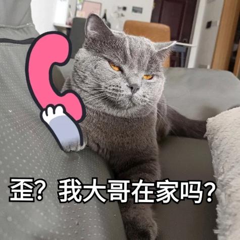 哥的萌叫 游戏截图