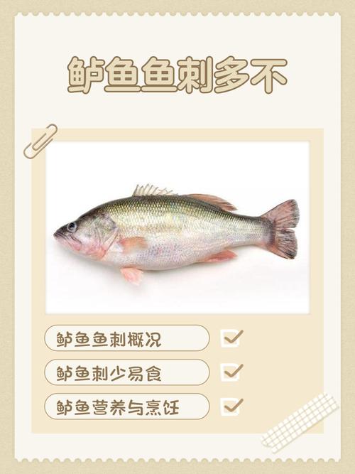 鲈鱼刺多不多
