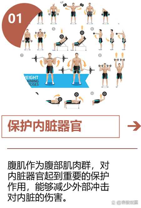 什么软件腹肌最好图标