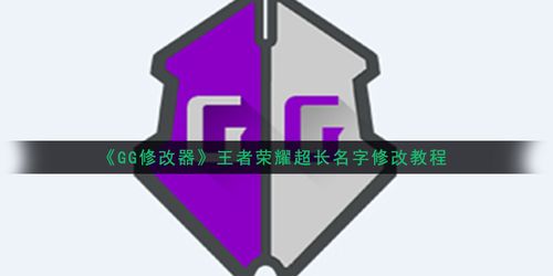 王者超长名字修改器缩略图