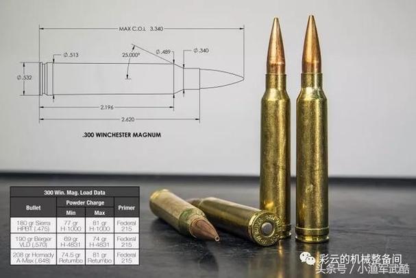 绝地求生m416用什么子弹图标