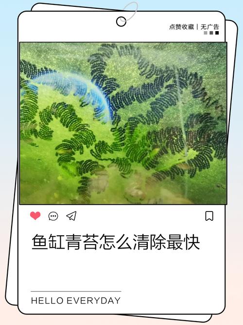 池塘青苔怎么去除图标