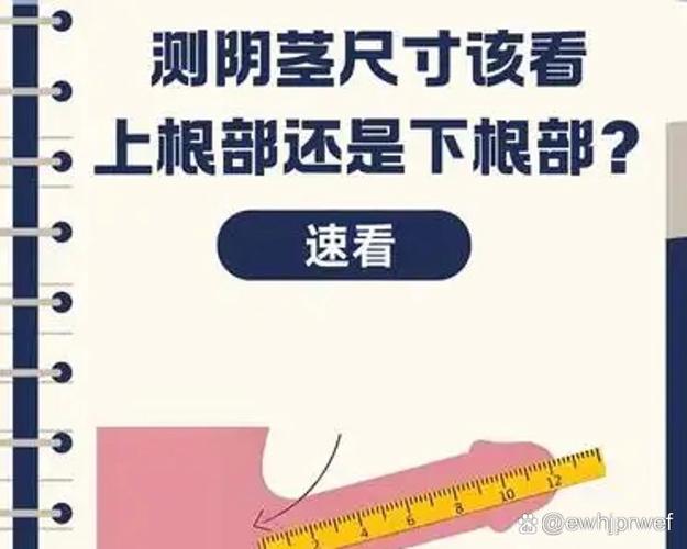 怎么从照片知道实际长度
