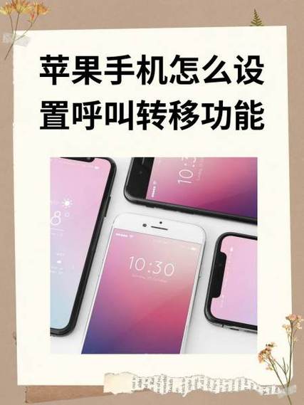 苹果手机17怎么呼叫转移到另一个号码缩略图