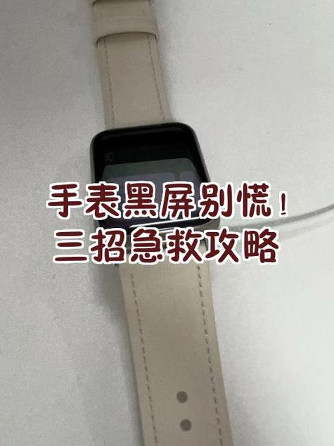 苹果手表突然黑屏开不了机怎么办图标